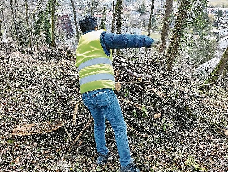 Convalere in Laufen im Einsatz: Die Werkhofgruppe ist dabei den Waldboden abzumagern, damit wieder Orchideen wachsen können. Foto: zVg