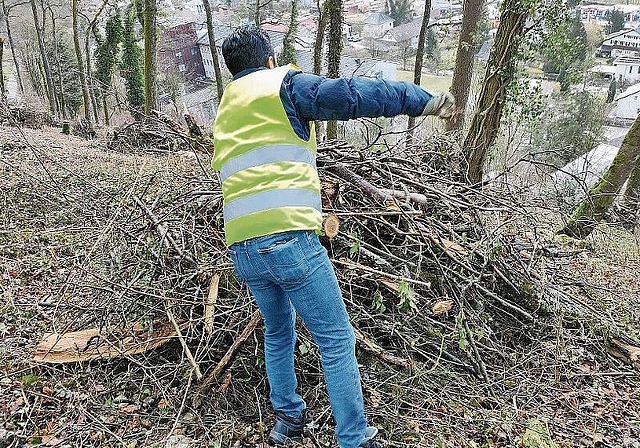 Convalere in Laufen im Einsatz: Die Werkhofgruppe ist dabei den Waldboden abzumagern, damit wieder Orchideen wachsen können. Foto: zVg