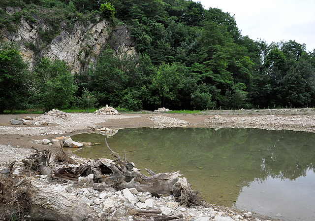 Bereit für den Einzug: Die neuen Weiher in der Grube Blinden oberhalb von Münchenstein bieten ideale Lebensbedingungen für Fröschen, Kröten, Molche und Libellen.  Foto: Isabelle Hitz