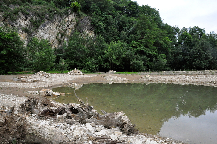 Bereit für den Einzug: Die neuen Weiher in der Grube Blinden oberhalb von Münchenstein bieten ideale Lebensbedingungen für Fröschen, Kröten, Molche und Libellen.  Foto: Isabelle Hitz