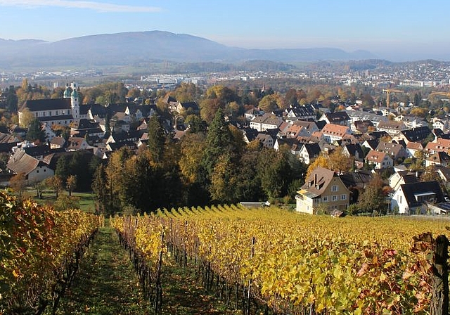 Attraktives Arlesheim: Damit das Dorf auch in Zukunft attraktiv bleibt, wird der Quartierplan für den Ortskern überarbeitet. . Foto: Axel Mannigel