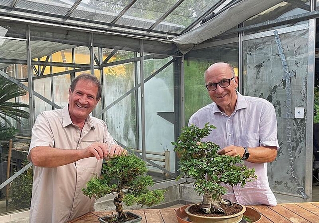 Pflegen ihre Minibäume mit viel Liebe: Roland Müller (l.), verantwortlicher PR, an einem Wacholder und Präsident Michel Mauron an einer Koreanischen Hainbuche. Foto: Axel Mannigel