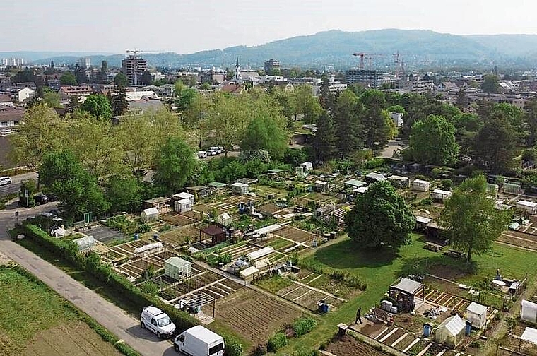 Umzonung: Für die Heizzentrale müssten 16 Parzellen der Schrebergärten verschoben werden. Foto: Rüdisühli Architekten