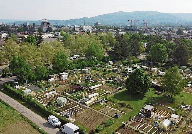 Umzonung: Für die Heizzentrale müssten 16 Parzellen der Schrebergärten verschoben werden. Foto: Rüdisühli Architekten