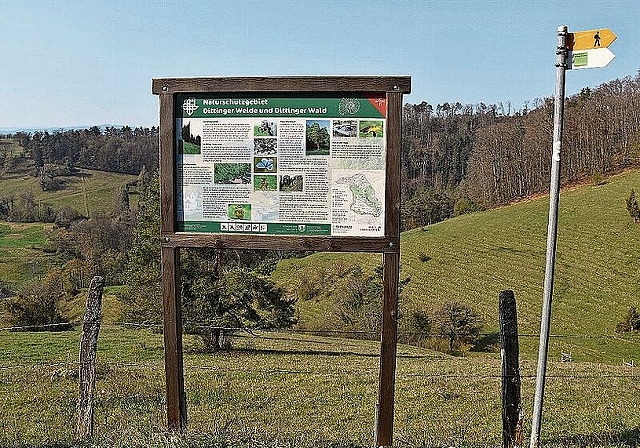 Artenreichste Magerweide im Baselbiet: Auf der Wiesentour erfahren Wanderinnen und Wanderer viel Wissenswertes. Foto: Bea Asper