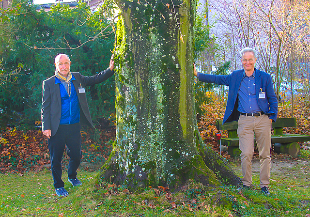 Verabschieden sich vom alten Baum: Philipp Schneider (l.), VR-Präsident, und Lukas Schöb, ärztlicher Leiter.  Foto: Tobias Gfeller