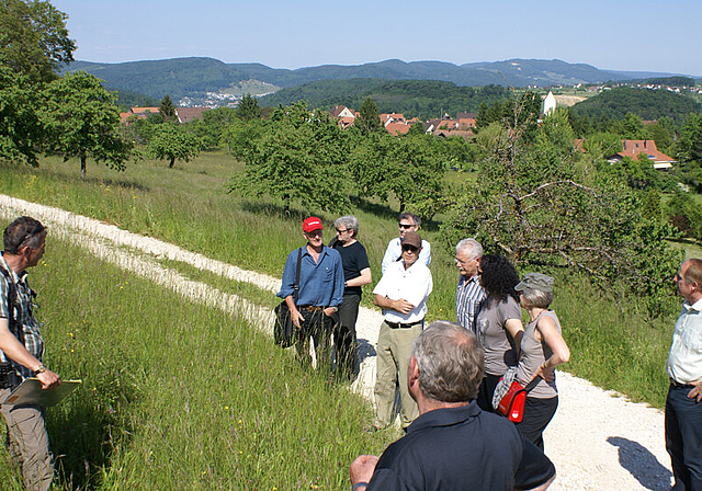 Inspektion einer Blumenwiese: Im Hintergrund Hochstammbäume und Dorf St. Pantaleon.   Foto: Jürg jeanloz