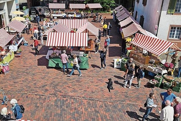 Passende Kulisse: Die feierlichen Ansprachen wurden im Rahmen des Dornacher Monatsmarkts gehalten. Foto: Susann Barkholdt