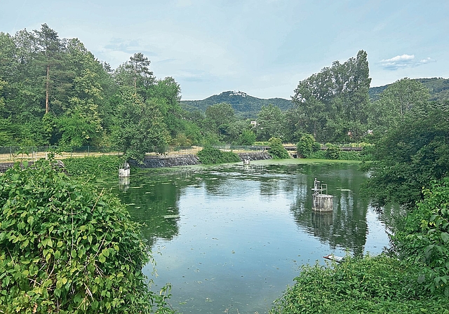 Versickerungsanlage: In Aesch wird das Grundwasser mit Birswasser angereichert. Foto: Nicolas Blust