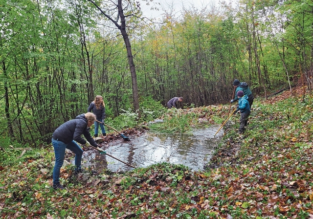 Freiwilligenarbeit: Am diesjährigen Naturschutztag der Gemeinde Münchenstein werden die Weiher gepflegt. Foto: archiv / Gemeinde münchenstein