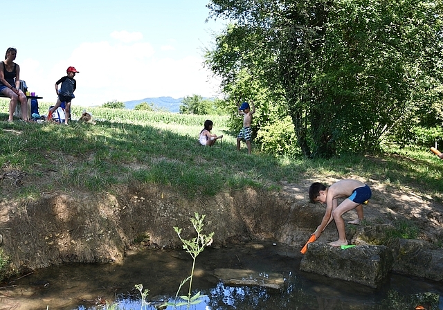 Wasserspiele am Klusbächlein: Die Tageslager der Kinderbetreuung Aesch KiBeA sind ein Bedürfnis.  Foto: Bea Asper