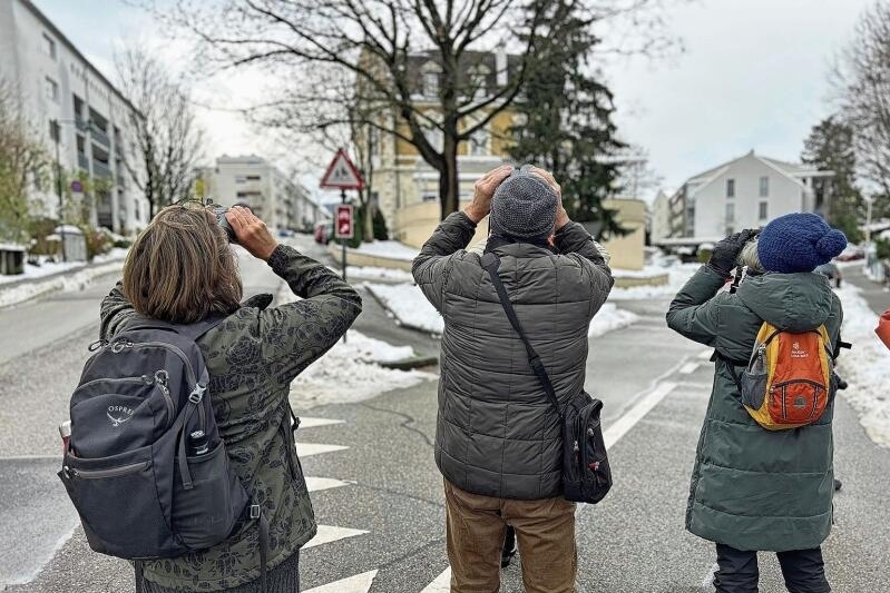 In die Luft gucken: Wer einen Vogel aus der Nähe sehen will, braucht ein Fernglas – und Geduld. Foto: Caspar Reimer