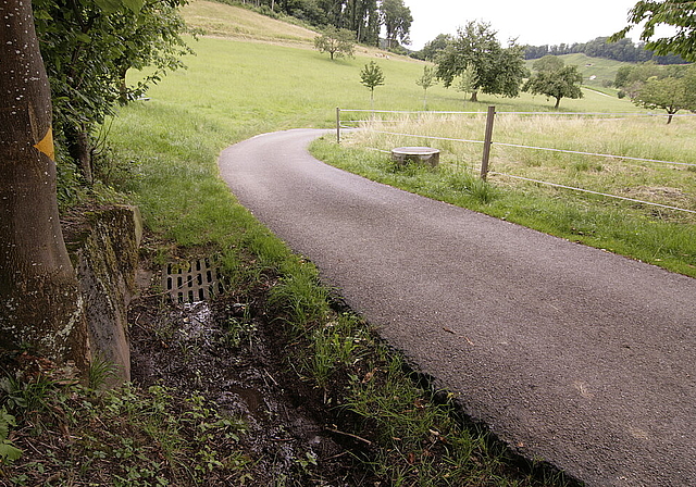 Der Leimattbach soll ausgedolt werden: Die betroffenen Landeigentümer sind damit nicht einverstanden.  Foto: Lukas Hausendorf