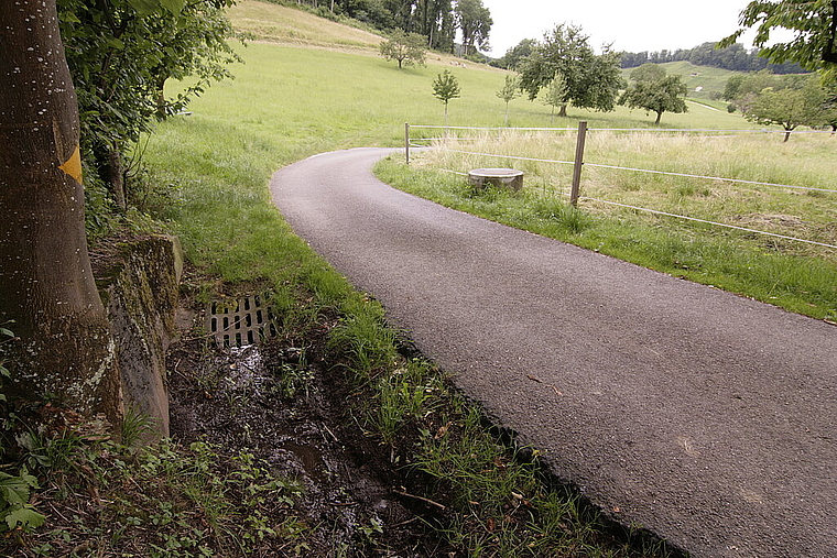 Der Leimattbach soll ausgedolt werden: Die betroffenen Landeigentümer sind damit nicht einverstanden.  Foto: Lukas Hausendorf