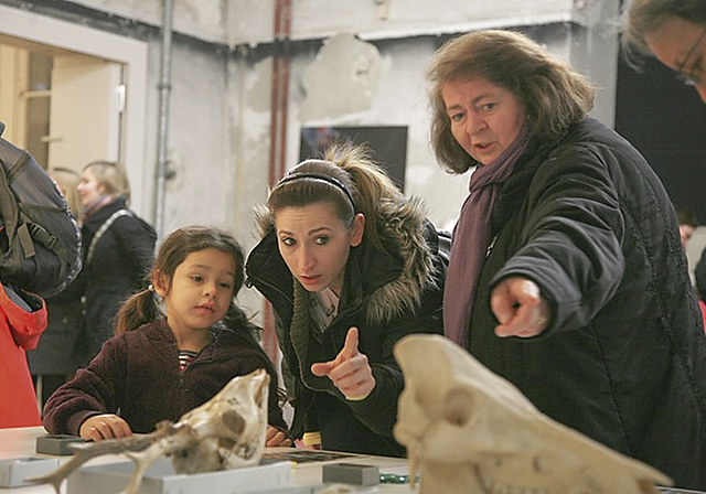 Hingehen und staunen: Die Basler Museumsnacht bietet allen etwas. Hier im Naturhistorischen Museum. Foto: ZVG
