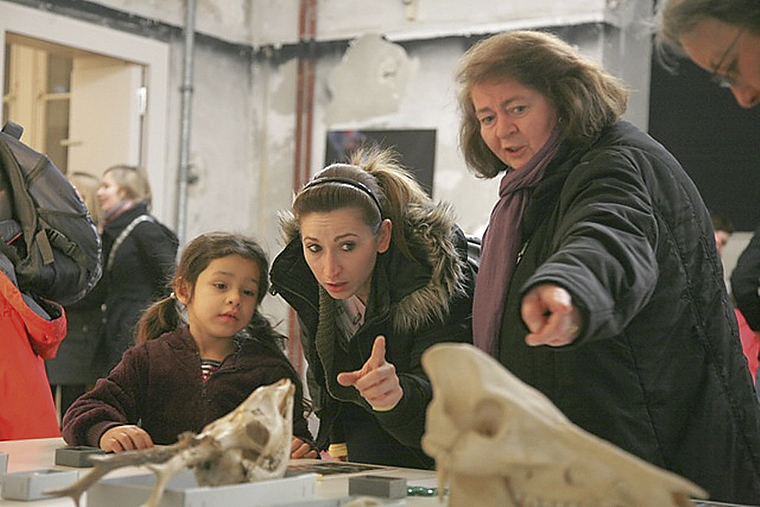 Hingehen und staunen: Die Basler Museumsnacht bietet allen etwas. Hier im Naturhistorischen Museum. Foto: ZVG
