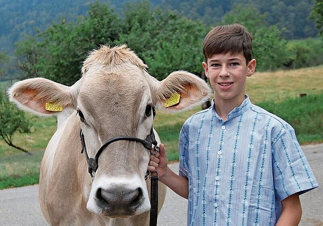 Viehschau: Der 13-jährige Leon Christ freut sich auf die Bezirksviehschau Schwarzbubenland in Seewen, wo er seine Anibal-ET Gerrag Braunviehkuh vorführen wird.Foto: Benildis Bentolila