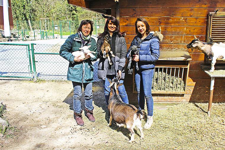 Strahlende Gesichter: Therese Stalder, Sarah Falchi und Viola Stalder (v. l.) mit ihren neugeborenen Schützlingen auf dem Arm.  Foto: Axel Mannigel