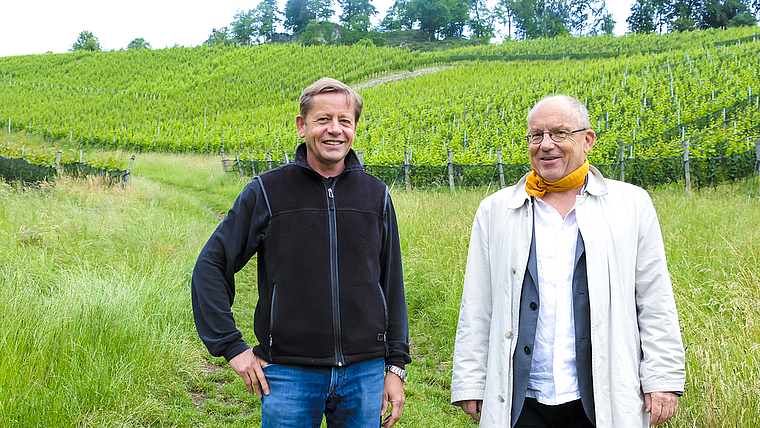 Zeigen sich dennoch nicht niedergeschlagen: Rebchef Antoine Kaufmann (l.) und Dieter von Blarer, Präsident der Weinbaugenossenschaft Aesch, vor der harmonischen Rebenlandschaft im Tschäpperli.  Foto: Thomas Brunnschweiler