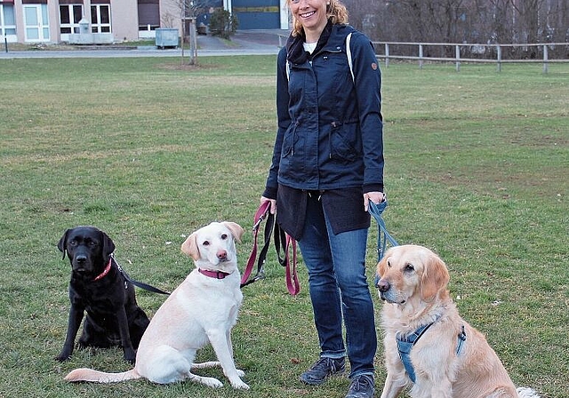 Wären bereit: Vera von Rotz mit Kimba (l.), Thara und Nala (r.). Foto: Tobias Gfeller