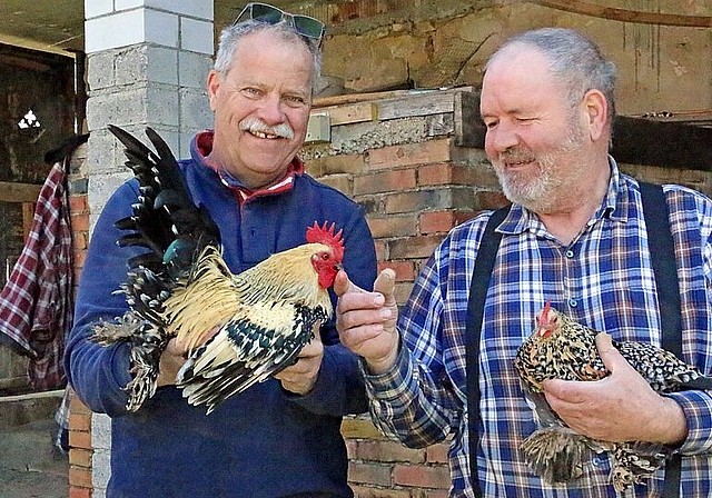  Glück: Heiri Bachmann und Franz Hänggi haben besonders zahme Federfüssige Zwerge. 
