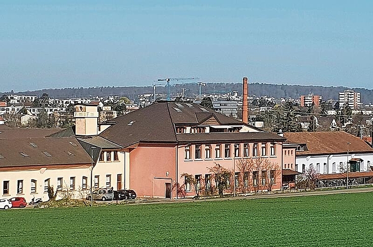 Beliebt: Viele Dornacher Kinder besuchen statt der Staatsschule die Rudolf Steiner Schule. Foto: Fabia Maieroni