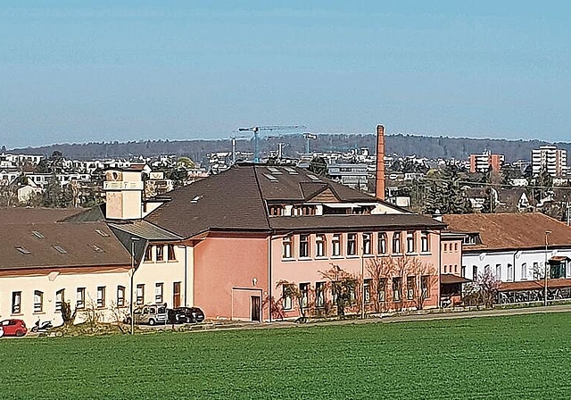 Beliebt: Viele Dornacher Kinder besuchen statt der Staatsschule die Rudolf Steiner Schule. Foto: Fabia Maieroni