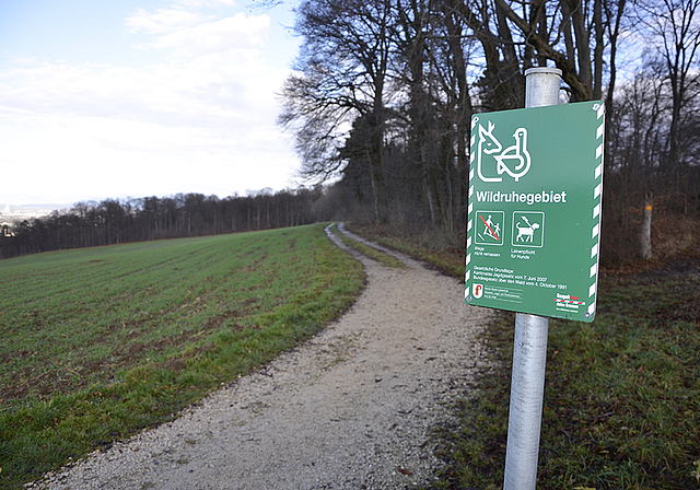 Keine jagdfreie Zone: Auch im Wildruhegebiet ist die Jagd – etwa aus seuchenpolizeilichen Gründen – nötig. Foto: Thomas Kramer