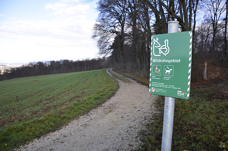 Keine jagdfreie Zone: Auch im Wildruhegebiet ist die Jagd – etwa aus seuchenpolizeilichen Gründen – nötig. Foto: Thomas Kramer