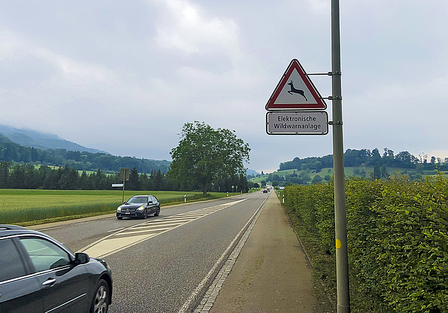 Achtung Tiere: Blinken die Randleitpfosten, ist das Tempo zu reduzieren.  Foto: Caspar Reimer