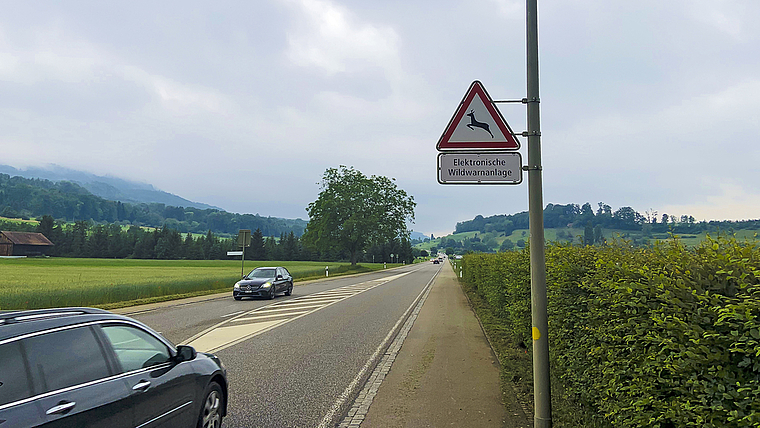 Achtung Tiere: Blinken die Randleitpfosten, ist das Tempo zu reduzieren.  Foto: Caspar Reimer