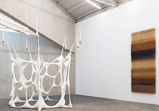 Von Brasilien nach Basel: Ein hängendes Gewebe von Ernesto Neto trifft auf einen Pflanzenbild von Maya Rikli.Fotos: Kunsthaus Baselland / Gina Folly