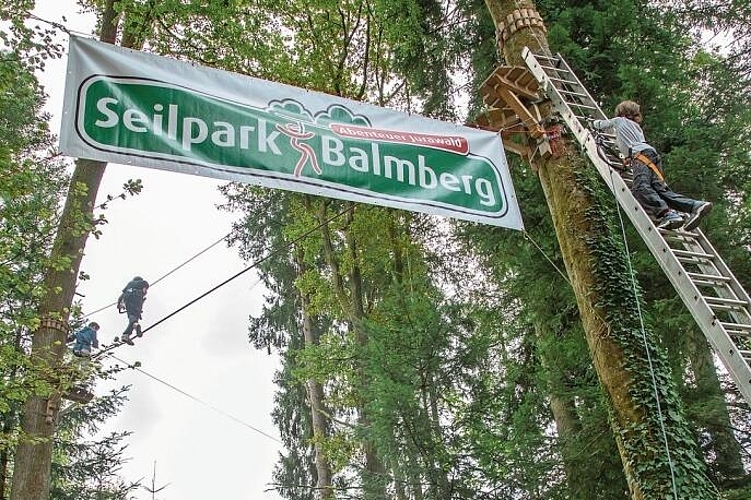 Vielfalt des Waldes: Ein Seilpark braucht Waldbäume.