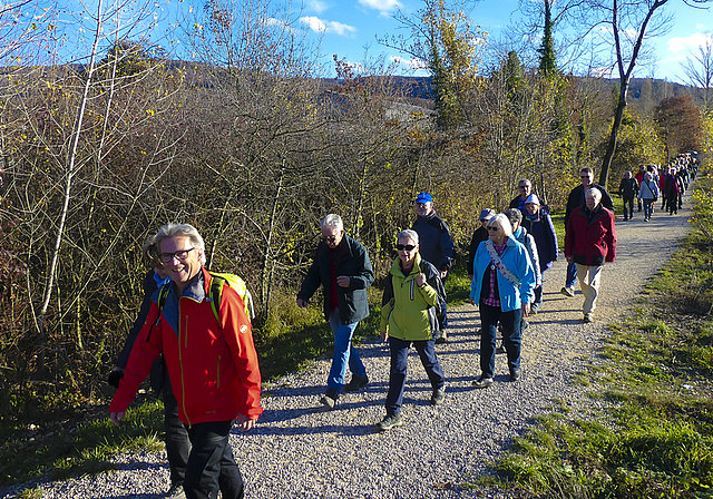 Vom Wetter verwöhnt: Im Sonnenschein marschierten 170 Mitglieder von Wanderwege beider Basel auf dem Birsuferweg von Aesch nach Arlesheim zur Herbstversammlung.  ZVG