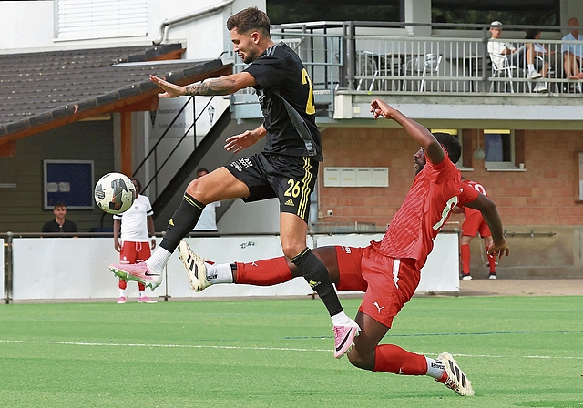 Bleibt dem FC Aesch erhalten: Der deutsche Stürmer Christian Schmidt (links).Foto: Edgar Hänggi