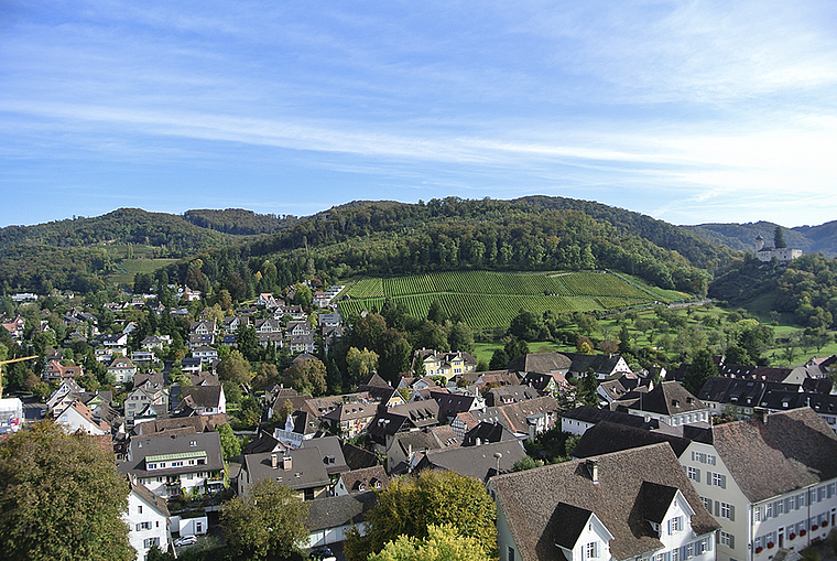 Die Übersicht behalten: Die Zonenplanrevision ist ein Prozess, bei dem verschiedene, auch sich widersprechende Bedürfnisse berücksichtigt werden müssen.  Foto: ZVG