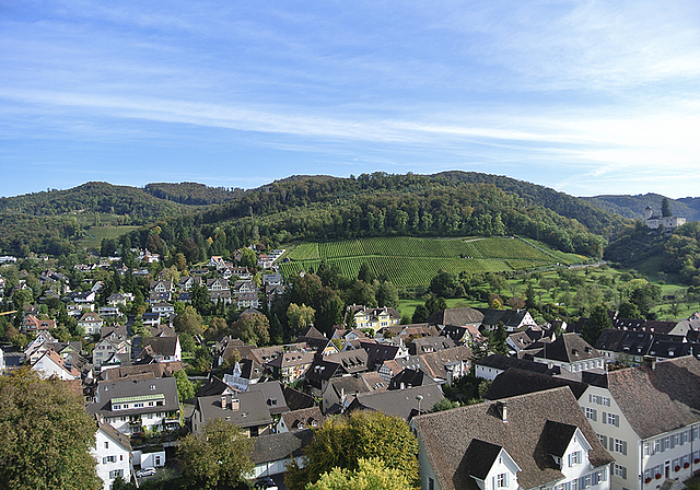 Die Übersicht behalten: Die Zonenplanrevision ist ein Prozess, bei dem verschiedene, auch sich widersprechende Bedürfnisse berücksichtigt werden müssen.  Foto: ZVG