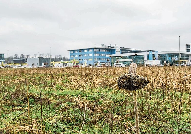 Zoffpotenzial bei Grossprojekt: Die Überbauung von Aesch Nord sei im Stocken, moniert einer der Grundbesitzer 
