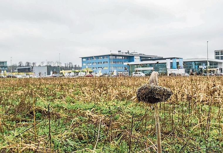 Zoffpotenzial bei Grossprojekt: Die Überbauung von Aesch Nord sei im Stocken, moniert einer der Grundbesitzer 
