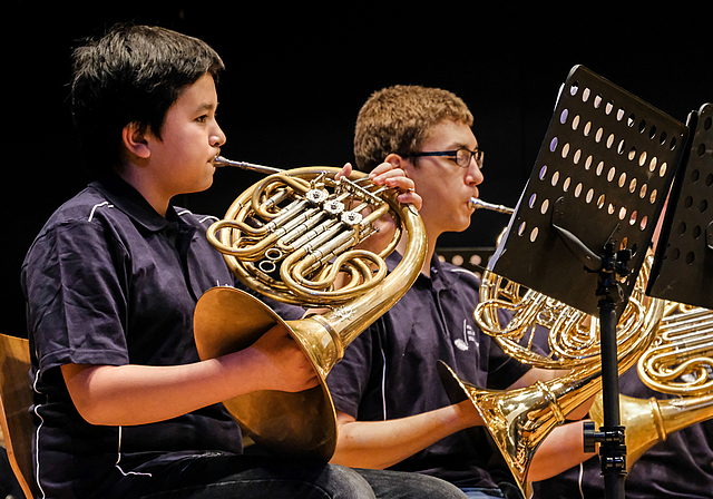 Auch der Nachwuchs lässt sich hören: Junge Hornisten des Blasorchesters der Musikschule Reinach.  Foto: Thomas Brunnschweiler