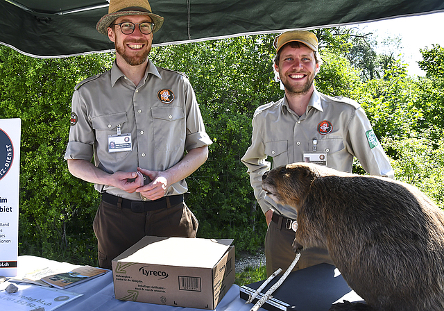 Entdeckungsreise in der Reinacher Heide: Die beiden Ranger Jean-Luc Perret (l.) und Yannick Bucher brachten den zahlreichen Besucherinnen und Besuchern die Welt der Wassernager näher.  Foto: Bea Asper