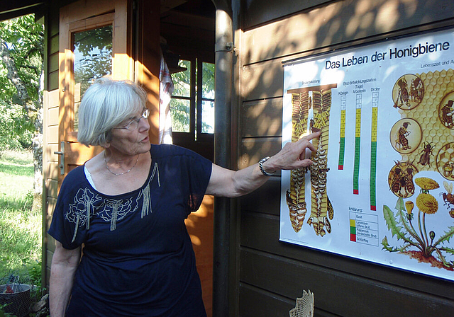 Hobby-Imkerin: Elisabeth Glaser erklärt vor ihrem Bienenhaus in Nuglar, wie Arbeiter-Bienen in Brutzellen aus Wachs heranreifen.   Foto: Melanie Aprin