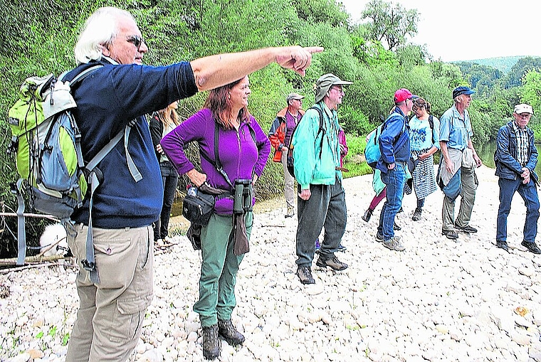 Zeigt auf den Biberbau in der Steinrieselmatte: Wanderleiter und Birsexperte Urs Campana. Foto: Jürg Jeanloz