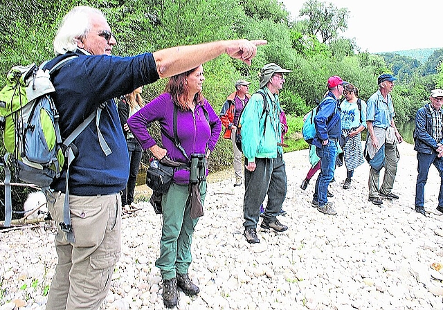 Zeigt auf den Biberbau in der Steinrieselmatte: Wanderleiter und Birsexperte Urs Campana. Foto: Jürg Jeanloz