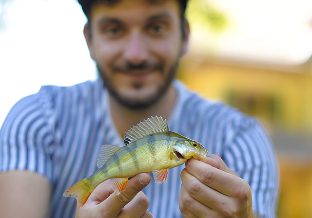 Geduld: Manchmal dauerts, aber das Warten lohnt sich, wie auf diesen schönen Barsch. Foto: Lucy Schmid