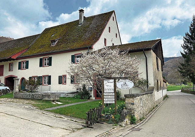 Andlauer Hofgut: der grösste bestehende und einer der ältesten landwirtschaftlichen Höfe in Arlesheim.Früher gehörte er zum Flachsländischen Schlösslein, dem heutigen Andlauerhof.