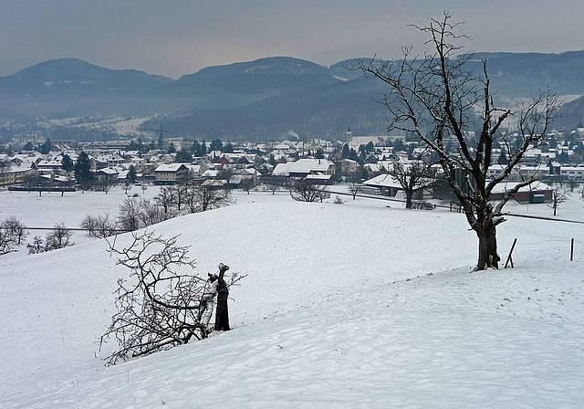 Frostiges Klima: Die Aescher Parteien schenken sich im Kampf um Wählerstimmen in diesen Tagen gar nichts.  Foto: Edmondo Savoldelli