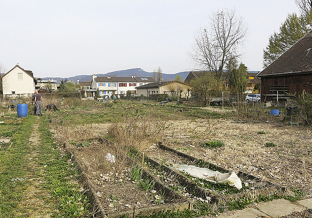 Mit Wehmut abgeräumt und zum Bau bereit: Auf dem Gartenareal Bodmen werden rund
