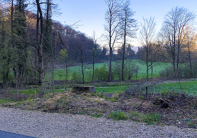 Am Waldrand: Entlang des Veloweges zwischen Münchenstein und Muttenz sollen Ende April drei Weiher angelegt werden,  Foto: Caspar Reimer