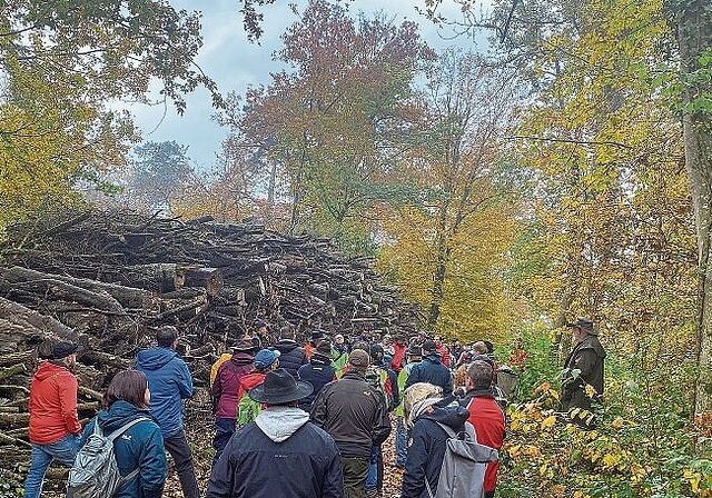 Waldgang mit Behördenmitgliedern: Der Holzschlag dient zur Sicherheit der Bevölkerung. Foto: Bea Asper